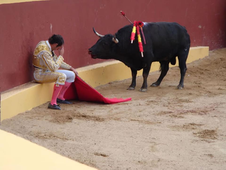 Matador Álvaro Múnero