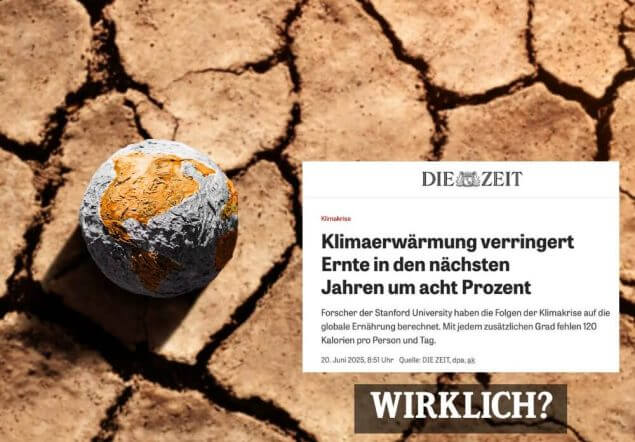 Zahlreiche Medien wie „Die Zeit“ griffen die neue Studie auf.Die Zeit / Canva/Screenshit / exxpress