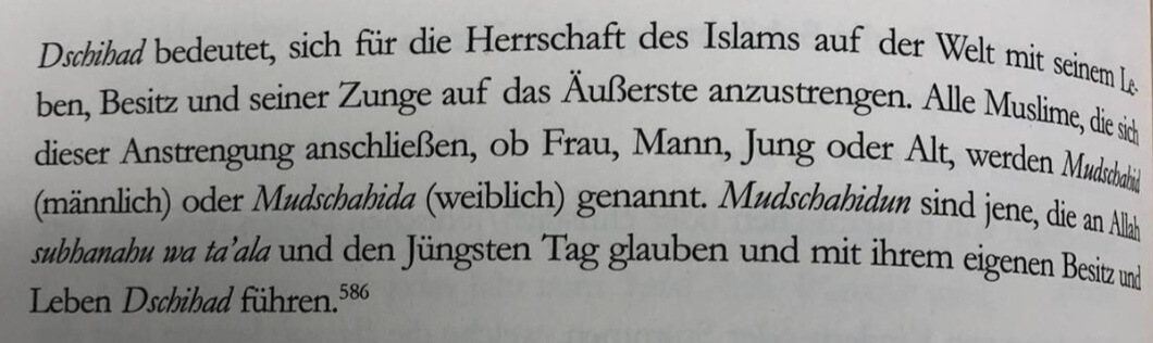 Dschihad für dei Weltherrschaft.ScreenshotGrundwissenS. 332