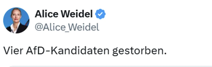 Screenshot Alice Weidel